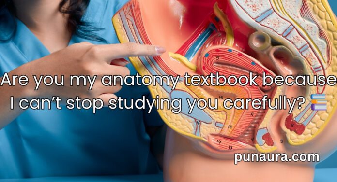 Anatomy Pick Up Lines Anatomy Pick Up Lines