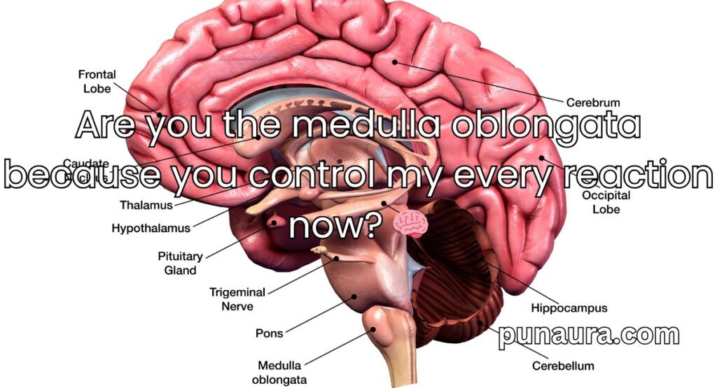 Anatomy Pick Up Lines