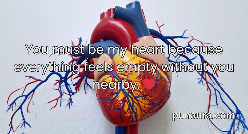Anatomy Pick Up Lines
