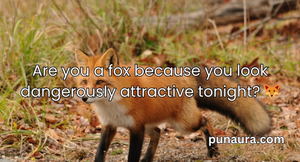 Animal Pick Up Lines