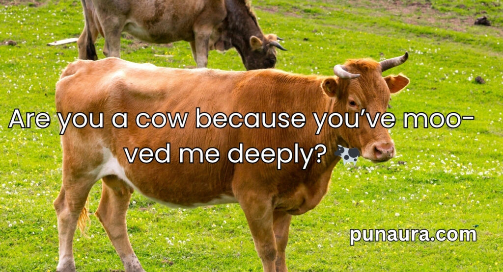 Animal Pick Up Lines