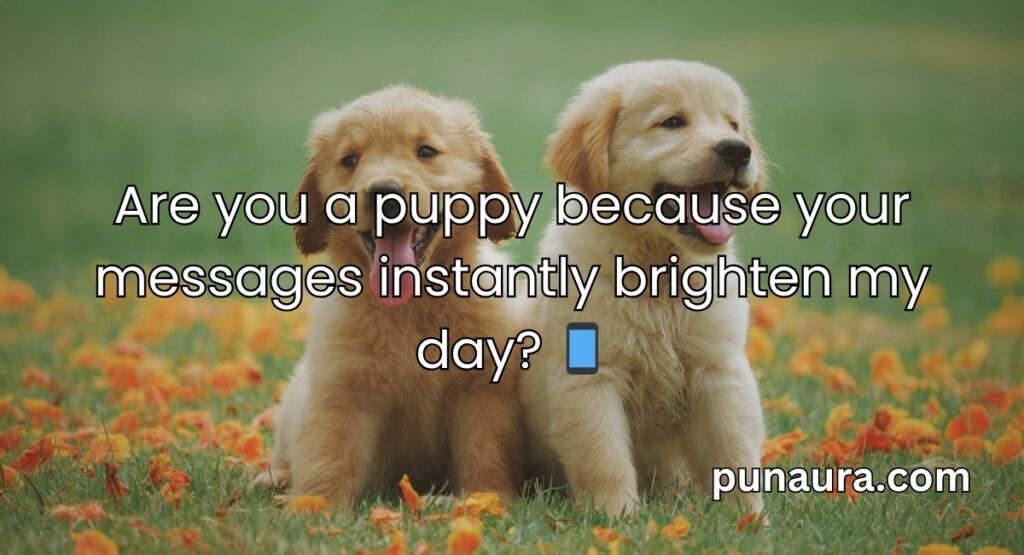 Animal Pick Up Lines
