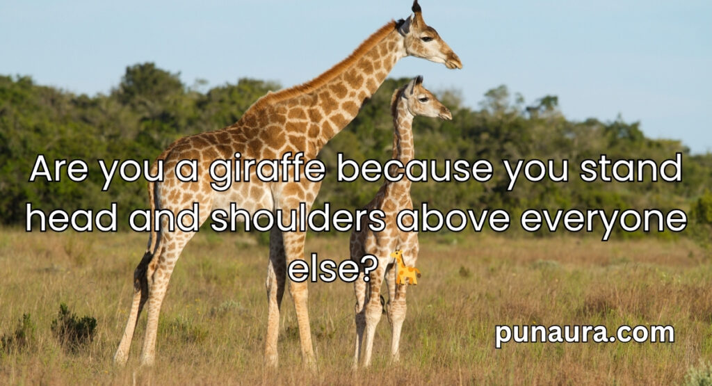 Animal Pick Up Lines
