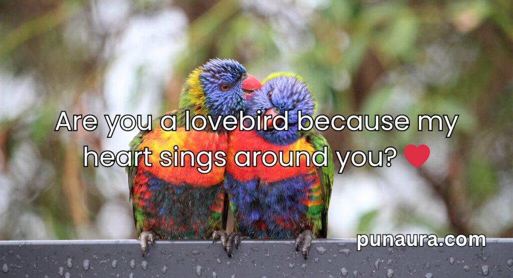 Animal Pick Up Lines