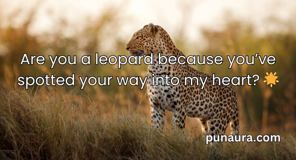 Animal Pick Up Lines