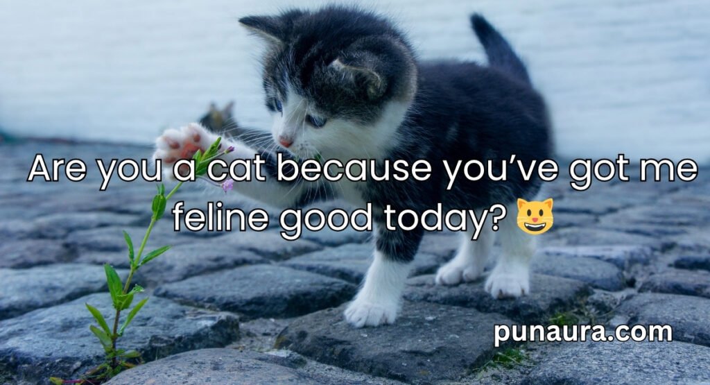 Animal Pick Up Lines