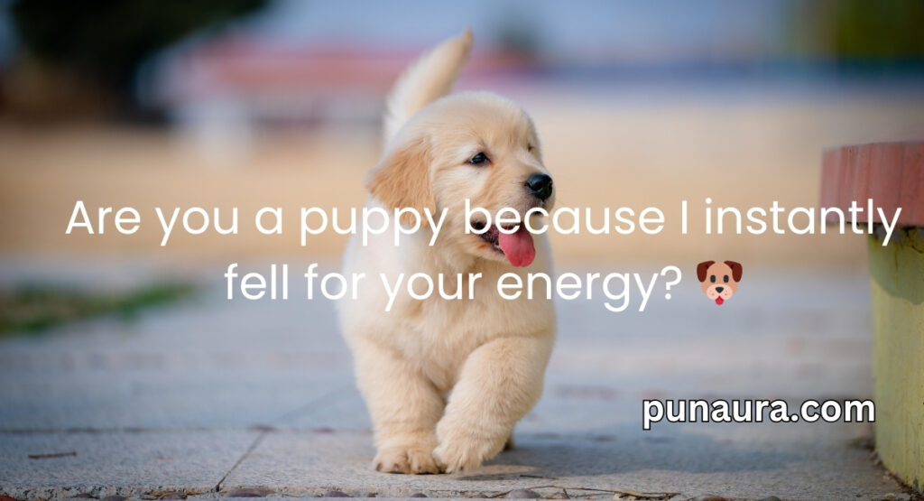 Animal Pick Up Lines