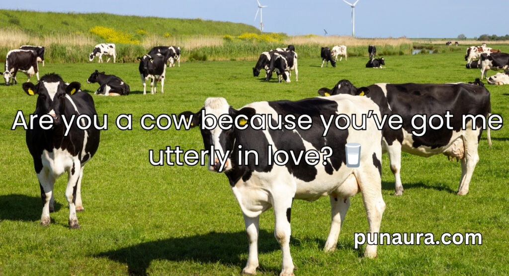 Animal Pick Up Lines