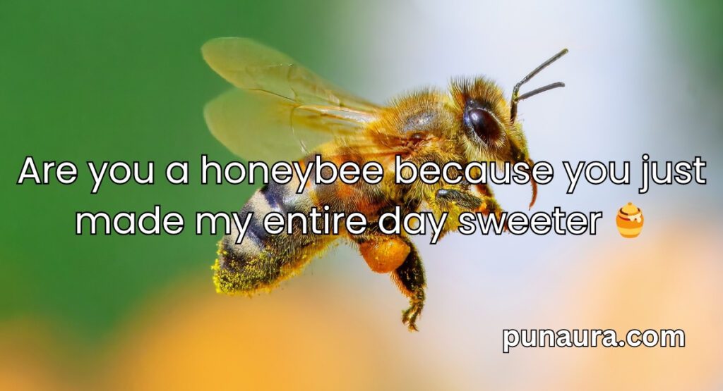 Bee Pick Up Lines