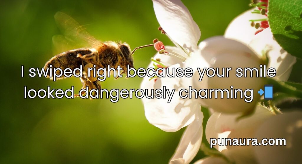 Bee Pick Up Lines