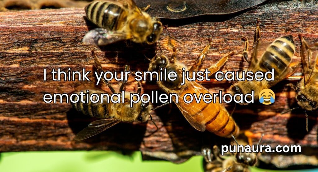 Bee Pick Up Lines