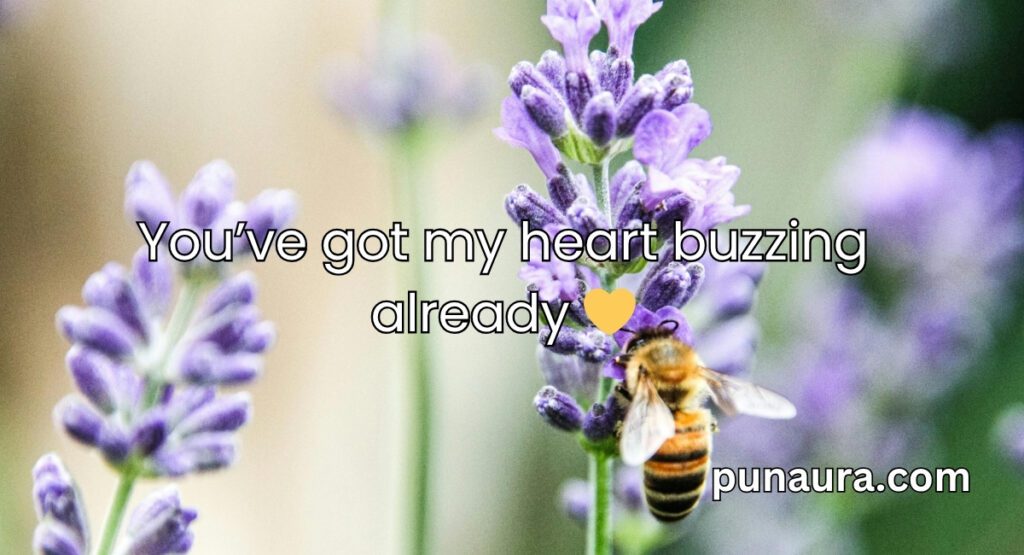 Bee Pick Up Lines