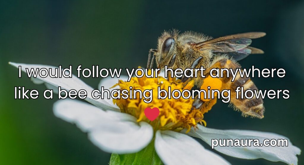 Bee Pick Up Lines