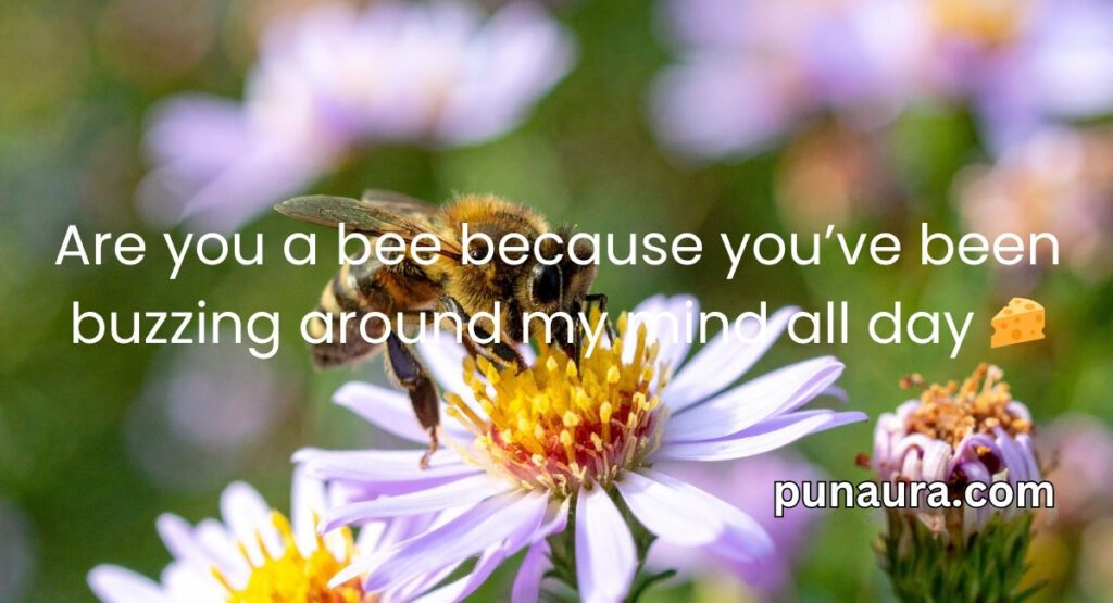 Bee Pick Up Lines