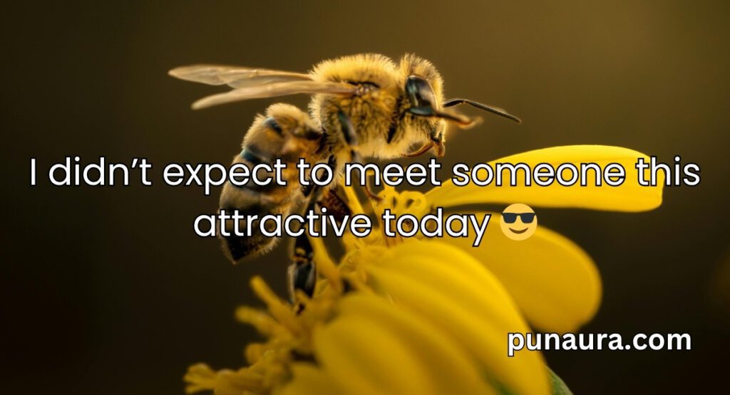 Bee Pick Up Lines