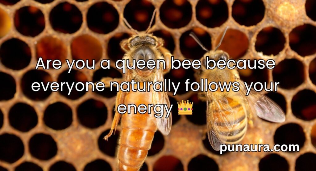 Bee Pick Up Lines