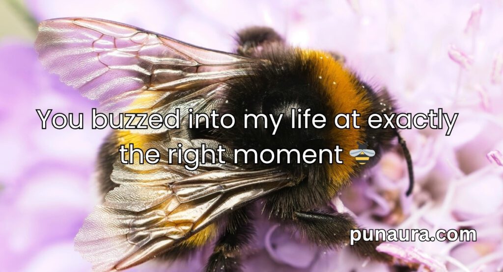Bee Pick Up Lines