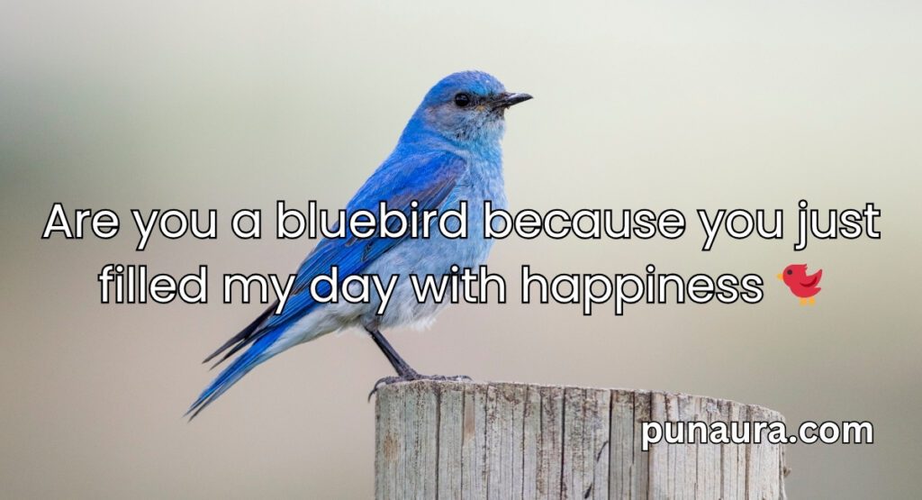Bird Pick Up Lines
