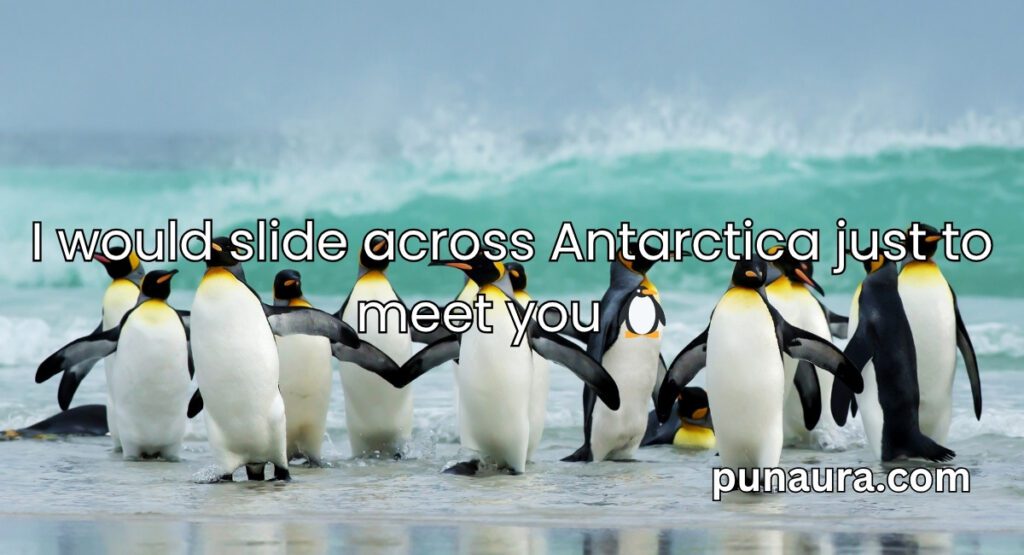 Bird Pick Up Lines