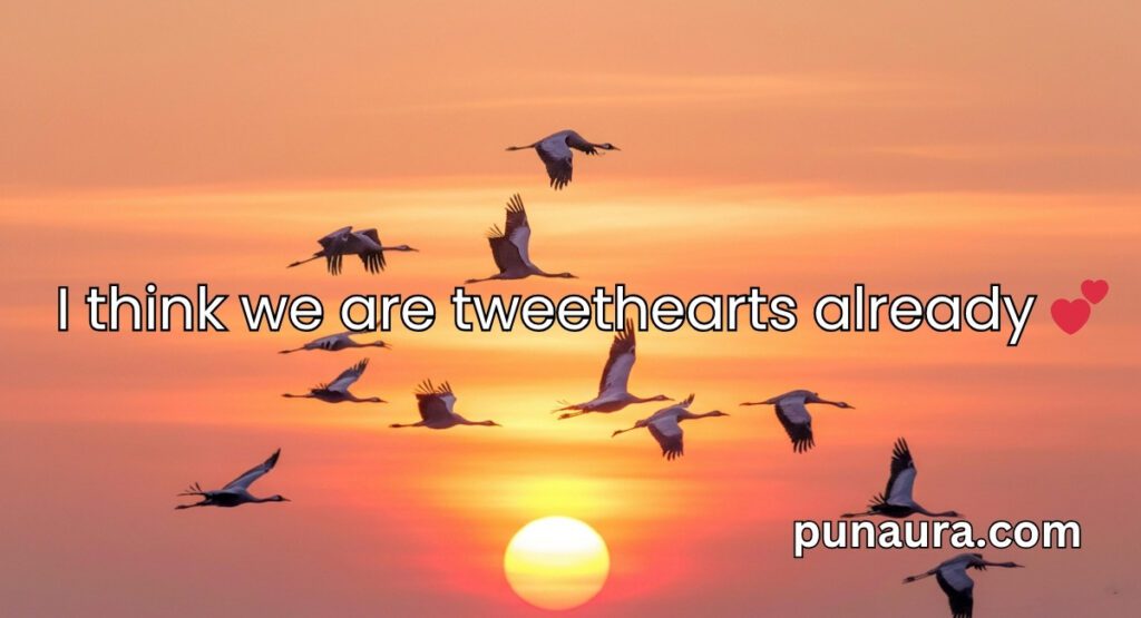 Bird Pick Up Lines