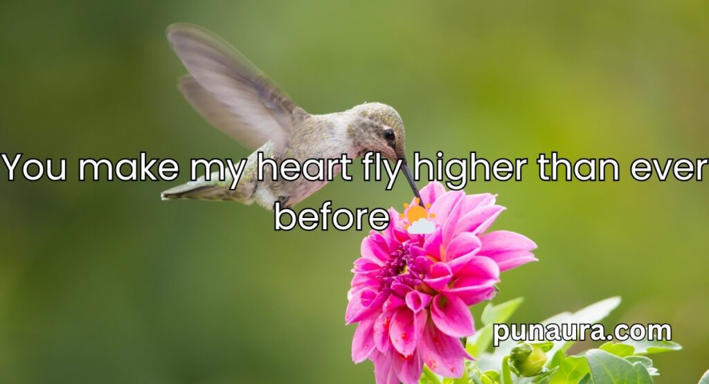 Bird Pick Up Lines