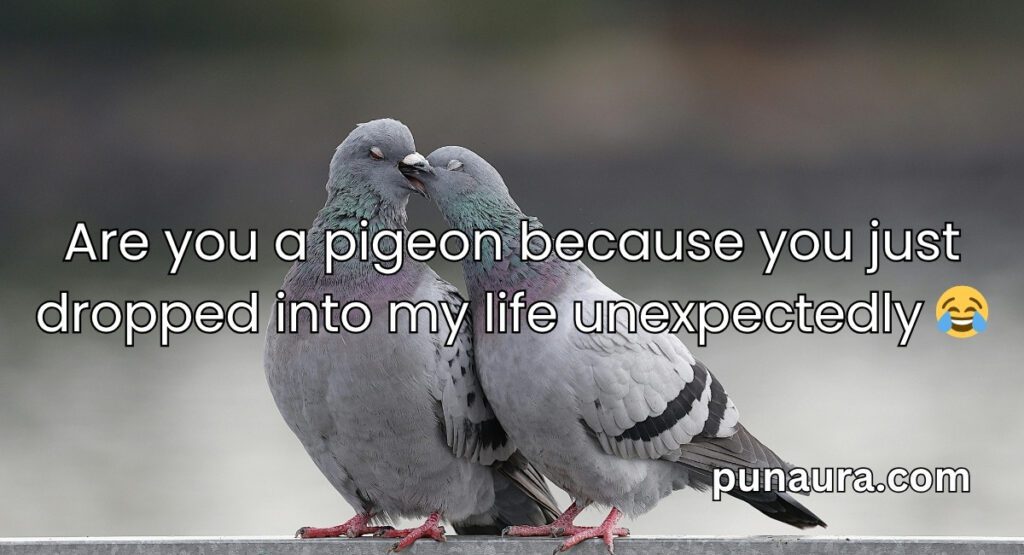 Bird Pick Up Lines