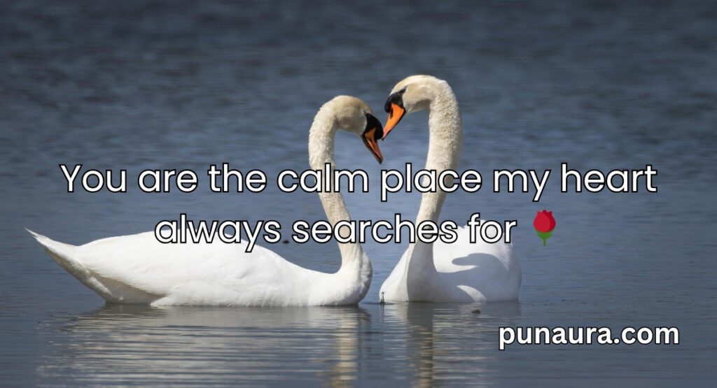 Bird Pick Up Lines