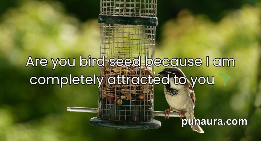 Bird Pick Up Lines