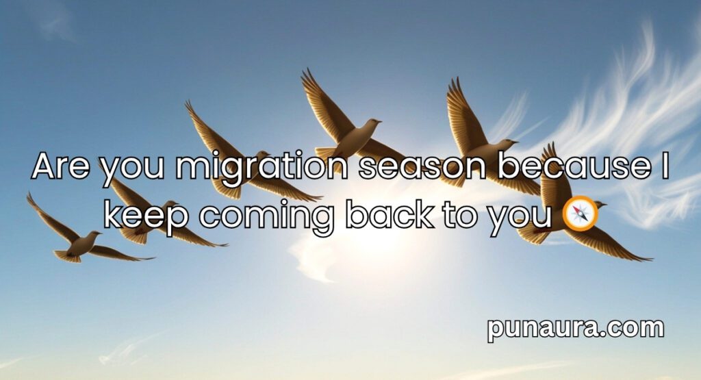 Bird Pick Up Lines