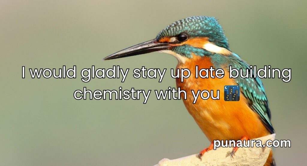 Bird Pick Up Lines