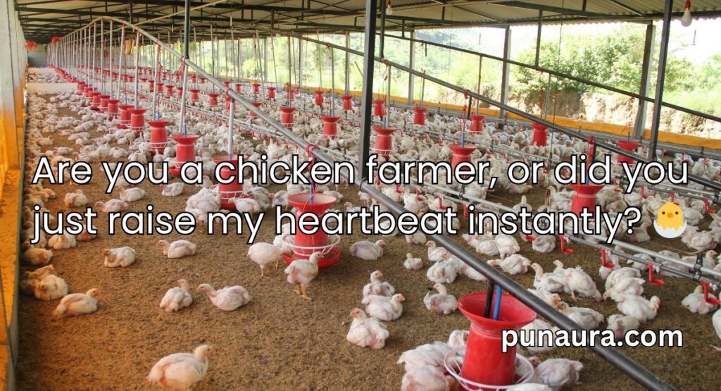 Chicken Pick Up Lines