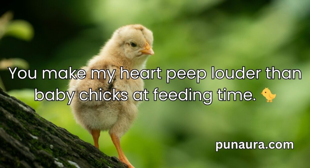 Chicken Pick Up Lines