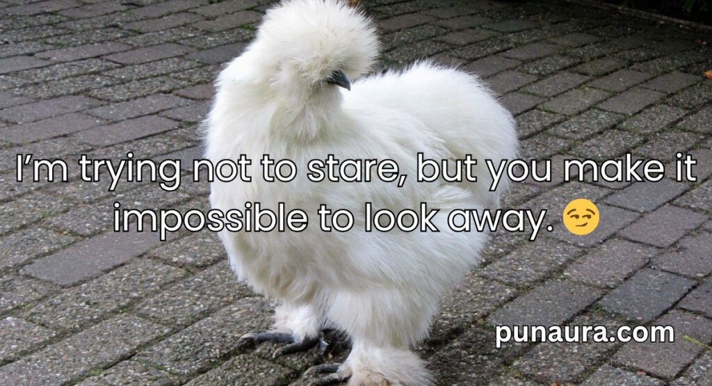 Chicken Pick Up Lines