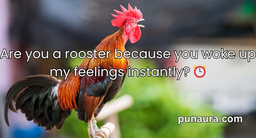 Chicken Pick Up Lines