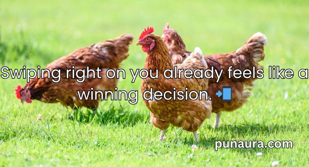 Chicken Pick Up Lines