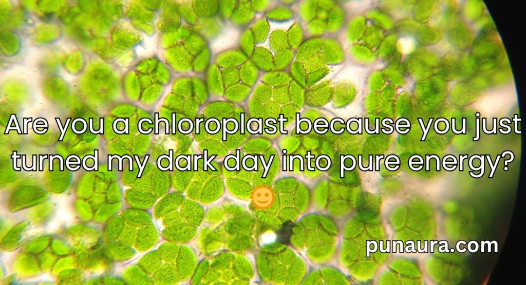 Chloroplast Pick Up Lines