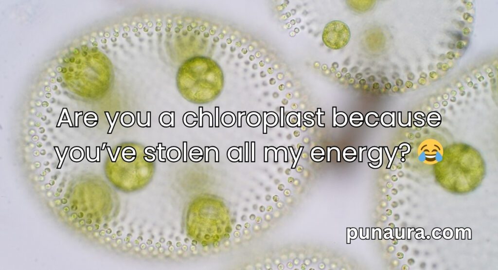 Chloroplast Pick Up Lines