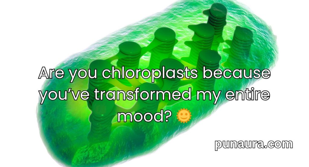 Chloroplast Pick Up Lines