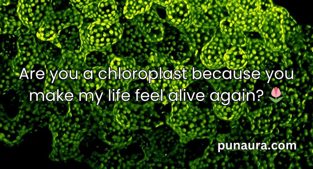 Chloroplast Pick Up Lines