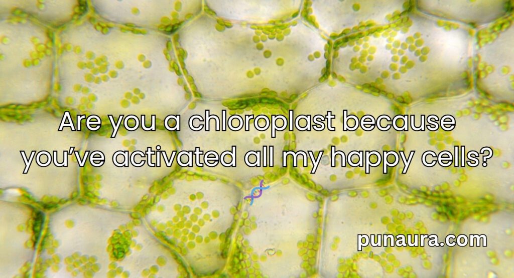 Chloroplast Pick Up Lines
