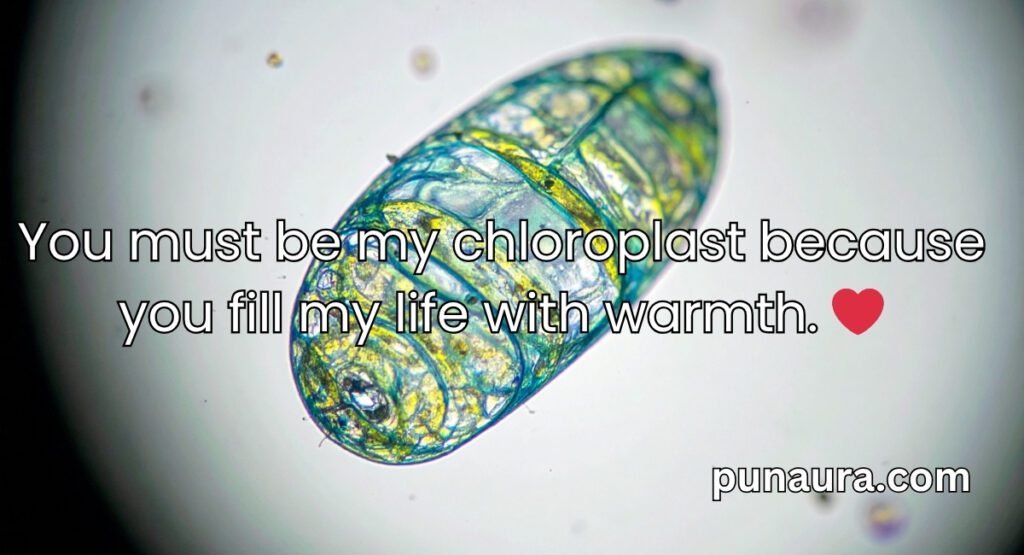 Chloroplast Pick Up Lines