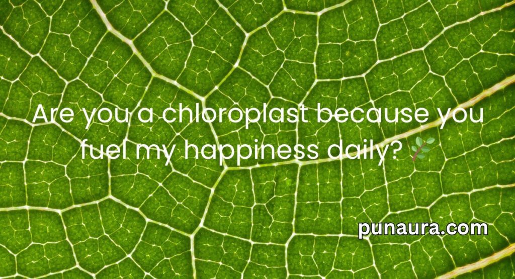 Chloroplast Pick Up Lines