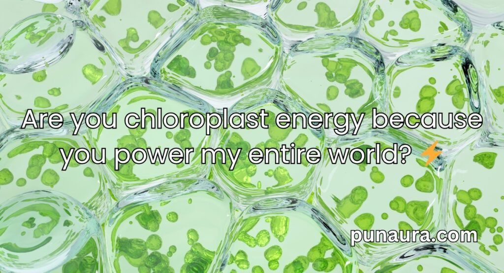 Chloroplast Pick Up Lines