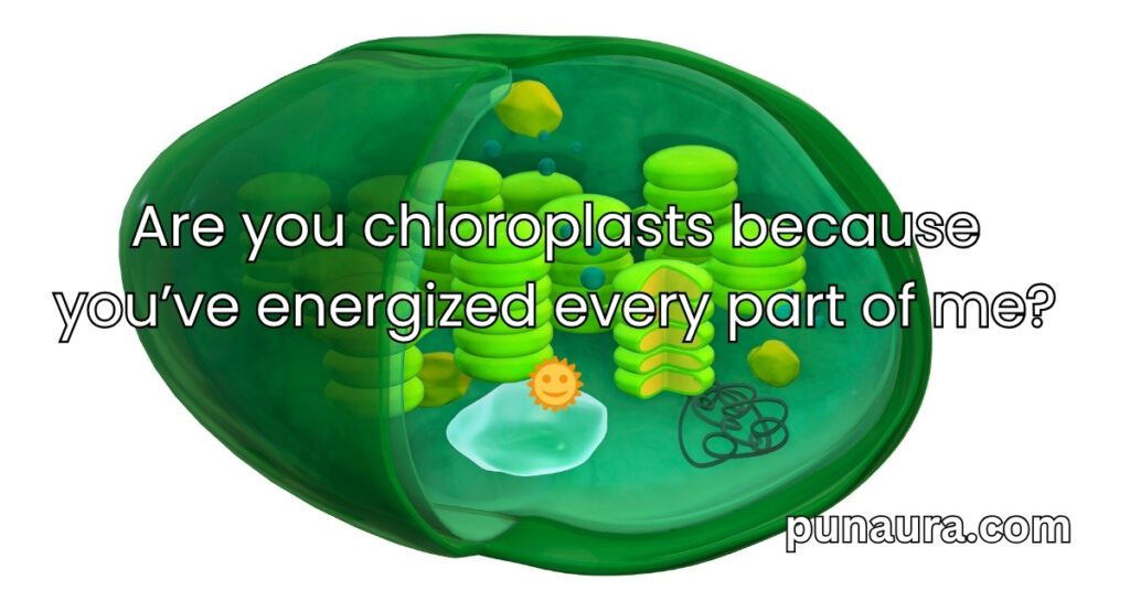 Chloroplast Pick Up Lines
