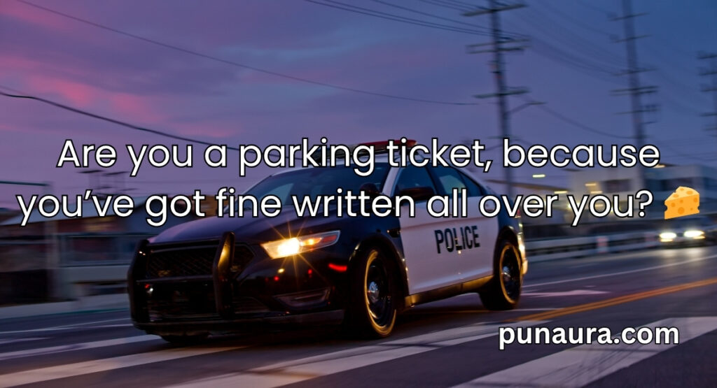 Cop Pick Up Lines