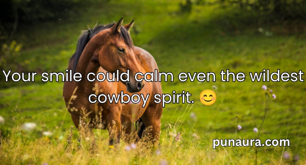 Cowboy Pick Up Lines