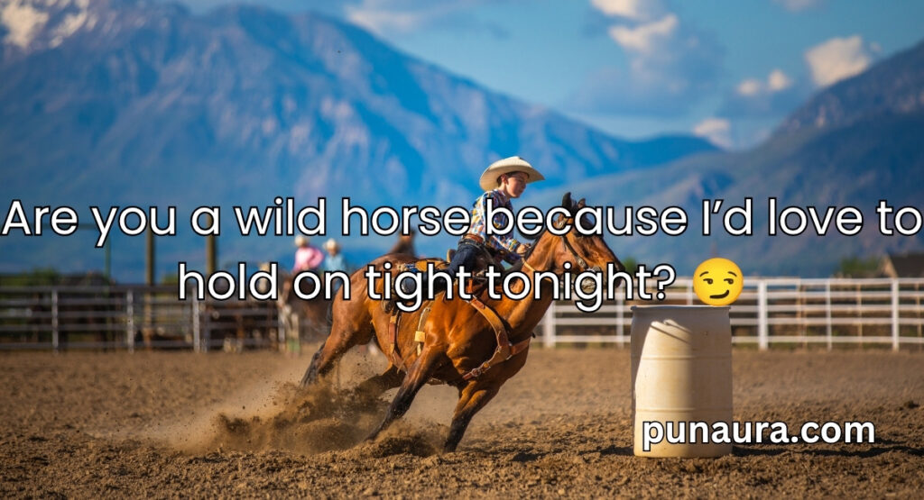 Cowboy Pick Up Lines
