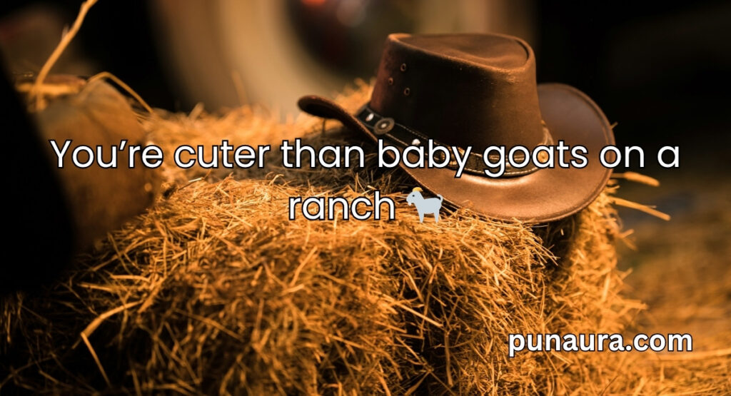 Cowboy Pick Up Lines