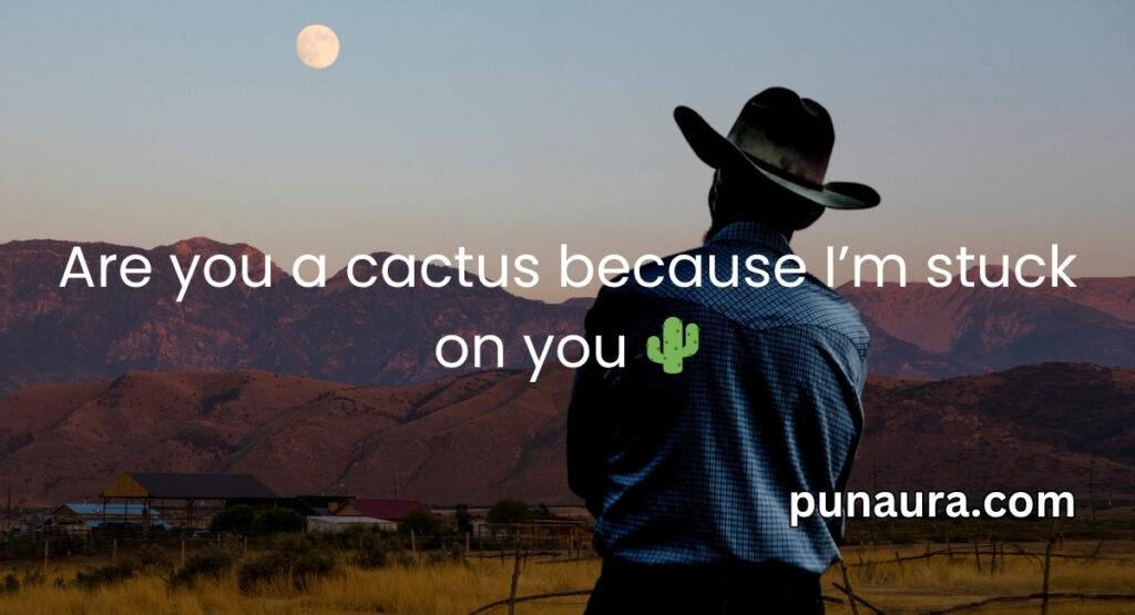 Cowboy Pick Up Lines