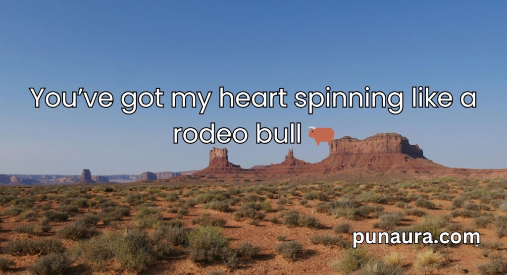 Cowboy Pick Up Lines